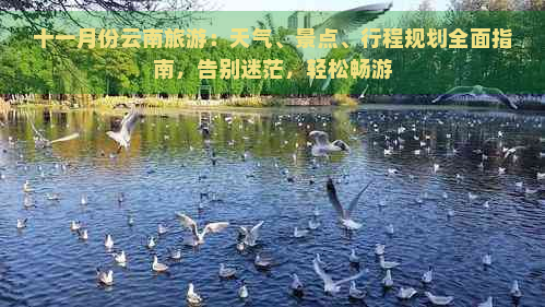 十一月份云南旅游：天气、景点、行程规划全面指南，告别迷茫，轻松畅游