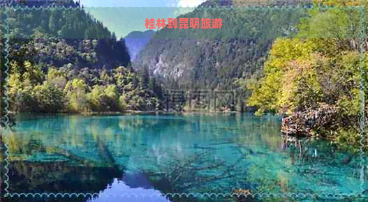 桂林到昆明旅游 桂林到昆明旅游