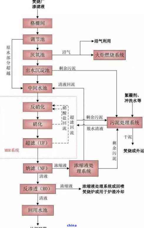 JN江南体育手工制茶的工艺流程-手工制茶的工艺流程视频(图10)