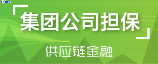 上海拍拍贷是一家提供     服务的公司,逾期还款是借款人无法按时还款