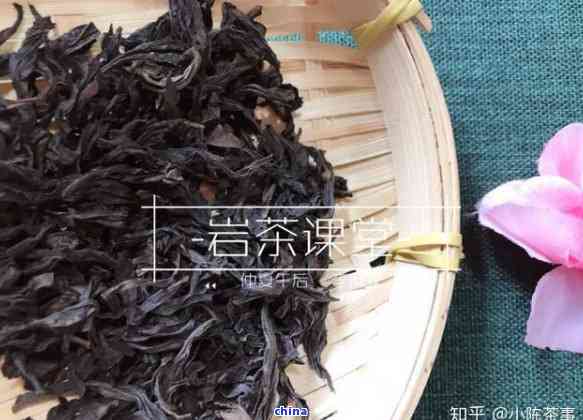 一年四茶叶有哪些探秘全年茶叶种类：一年四皆有好茶！(图4)