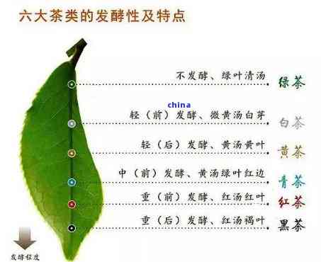 ng体育官网：茶叶的简单介绍：全面了解茶叶的基本知识与特点(图3)