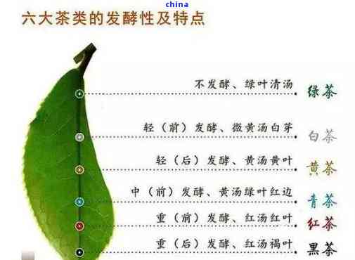 ng体育官网：茶叶的简单介绍：全面了解茶叶的基本知识与特点(图1)