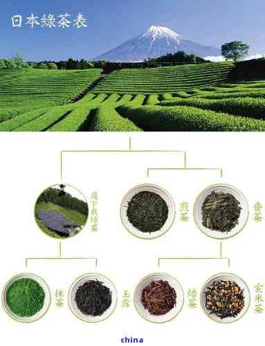 全讯800cc大白菜官网24年后 农夫山泉开卖纯净水