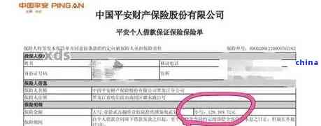 平安普有逾期记录怎么办-平安普有逾期记录怎么办理