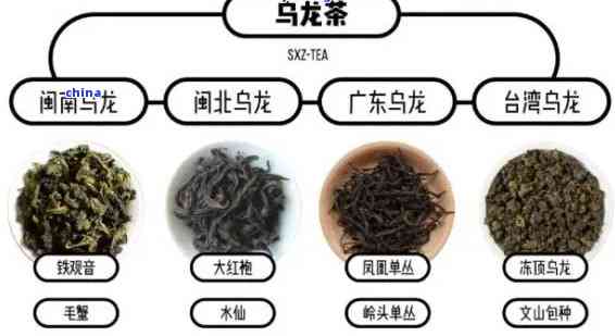 138全讯白菜官方免费下载地址处处有旅游 行行加旅游——古丈县奋力打造特色生态文化旅游发展之路
