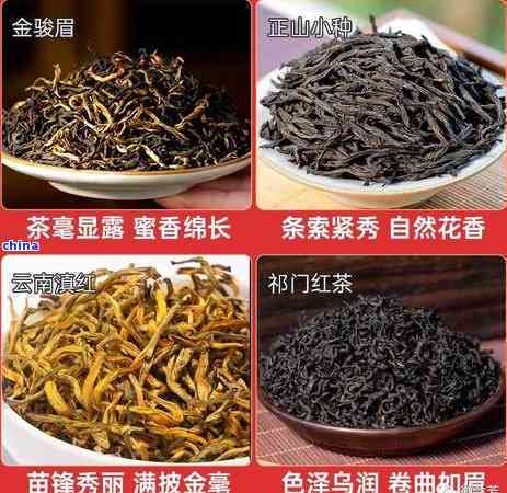 600全讯白菜官方网站施云清：我眼中的世界红茶市场版图
