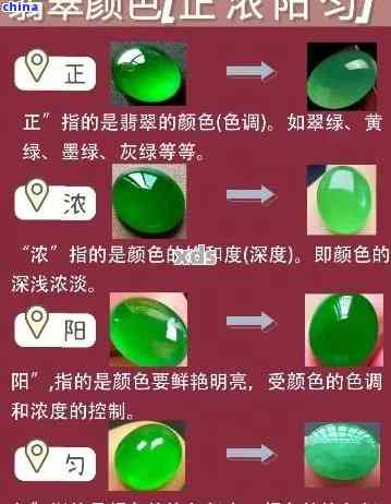 阳绿翡翠属于什么级别图片