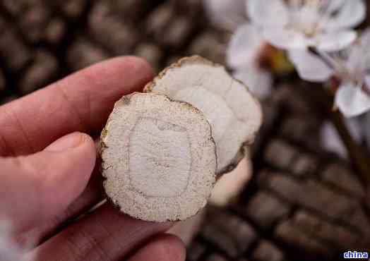 白芷和什么药材可以一起泡水喝，探讨：白芷与哪些药材搭配泡水喝更健？