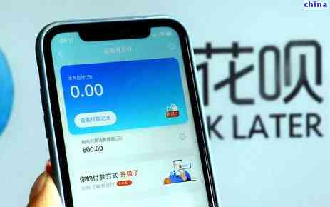 蚂蚁借呗： 减免流程，信用卡流水要求，安全性解读