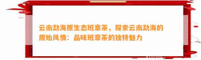 云南勐海原生态班章茶，探索云南勐海的原始风情：品味班章茶的独特魅力