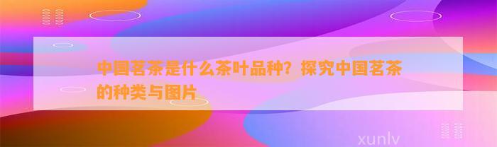 中国茗茶是什么茶叶品种？探究中国茗茶的种类与图片(图1)